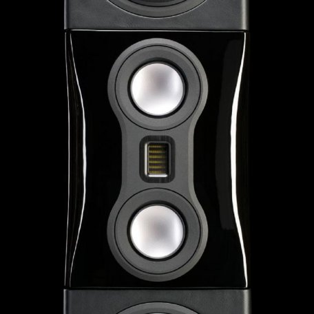 Monitor Audio Platinum PL500 II Black Gloss