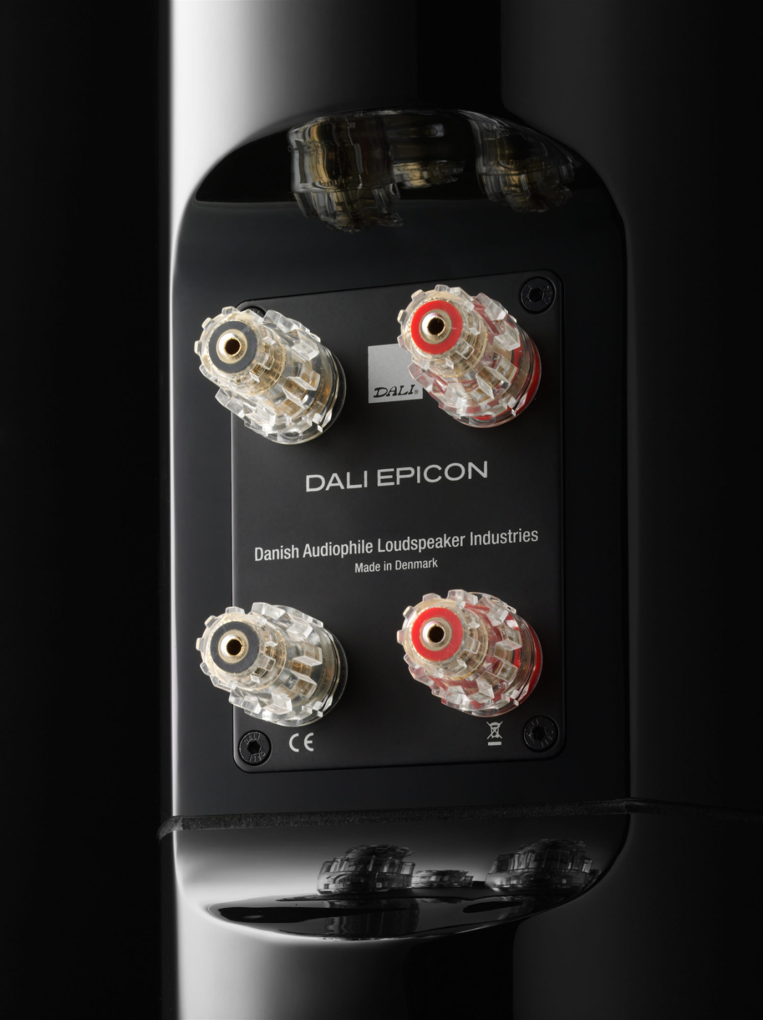 Напольная акустика Dali Epicon 8 black high gloss