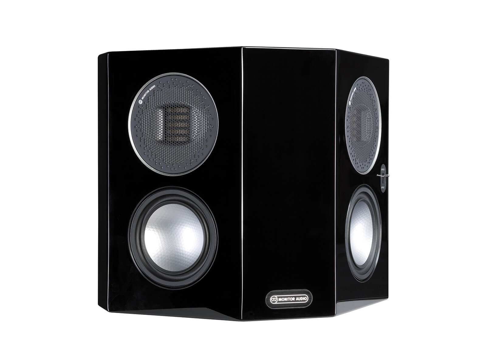 Настенная акустика Monitor Audio Gold FX (5G) Piano Black