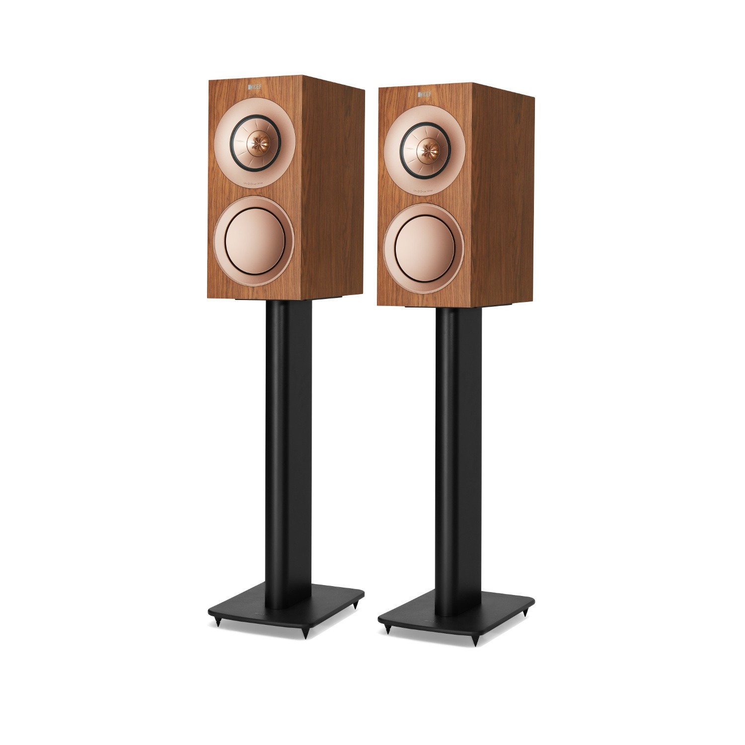 Полочная акустика KEF R3 Walnut